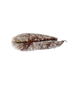 Chorizo (530g)