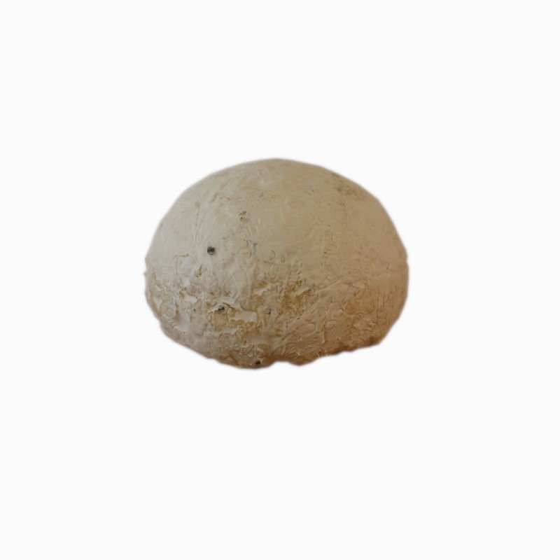 Gaperon