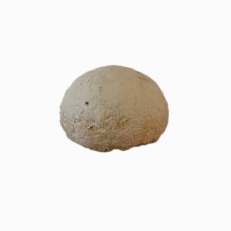 Gaperon