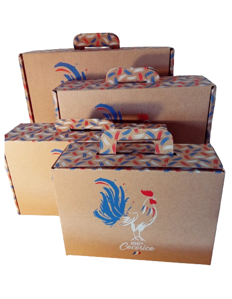 Valisette carton Cocorico 25cm