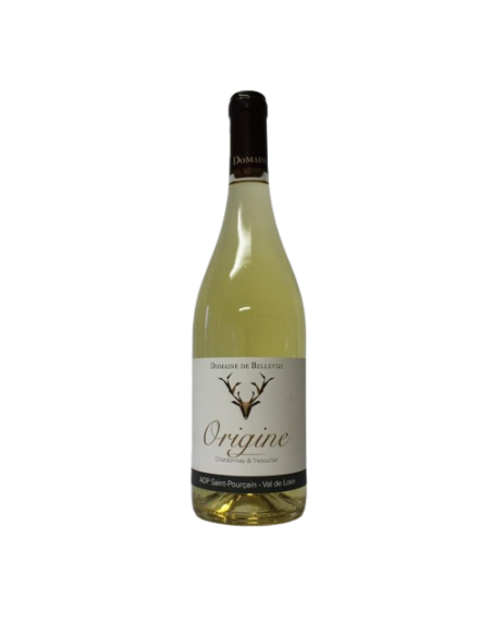 Saint Pourçain Vin Blanc Origine