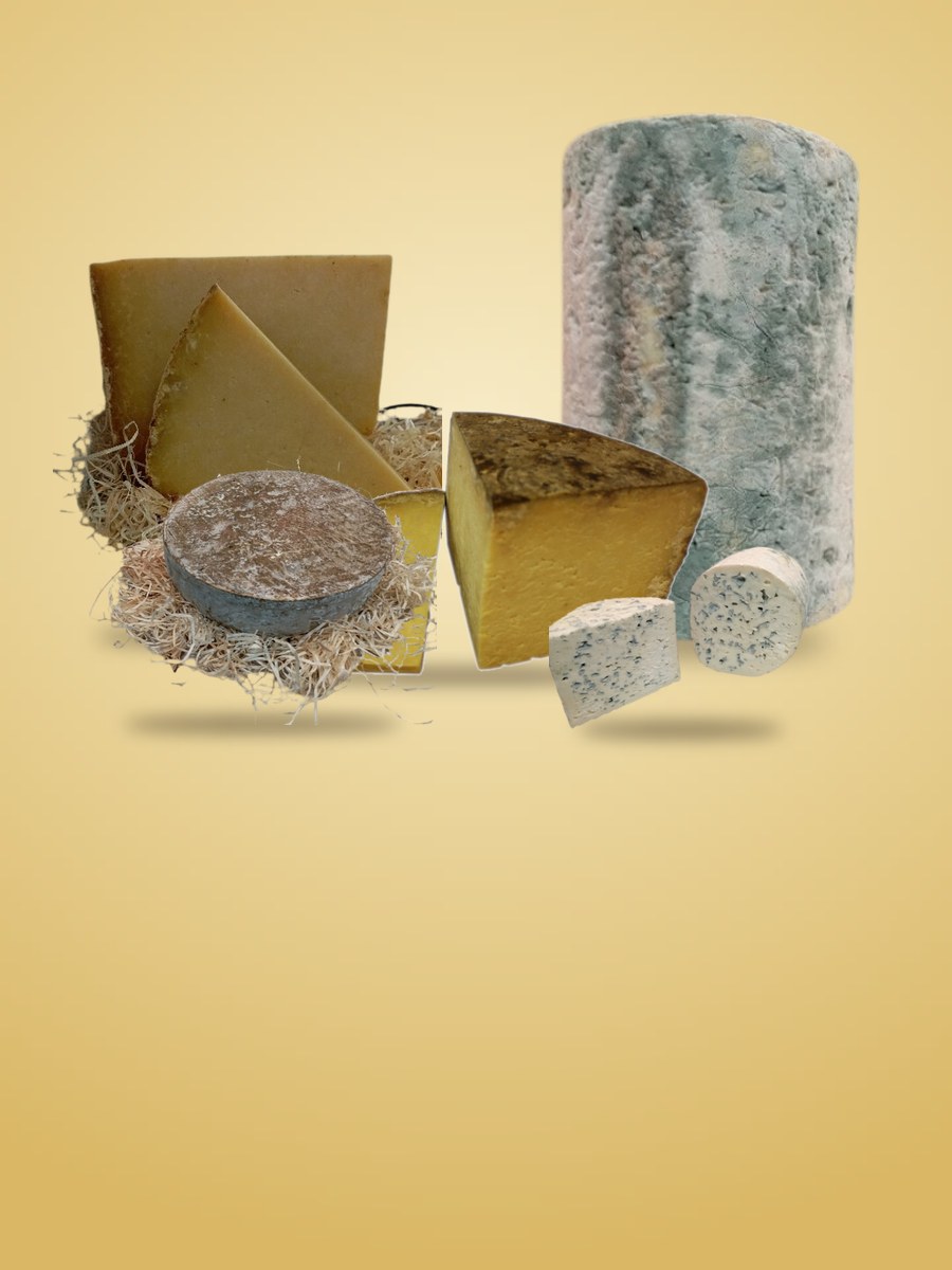 Cantal, Salers, Saint-Nectaire et Fourme d'Ambert