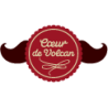 Coeur de Volcan